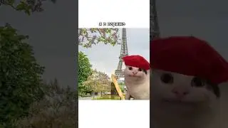 А вы для чего работаете ? 😄 #юмор #английскийонлайн