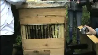 Alfredo Cabrera shows his Perone hive in Oscar Perone's course