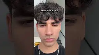 Which one are you? 🤔 #symmetricalface #asymmetricalface #faceshape #fyp #viral