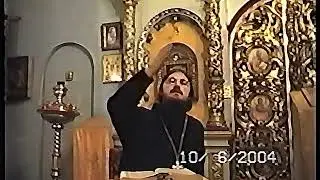 28/40.Евангелие согласно Ап.Матфея о.Даниил Сысоев