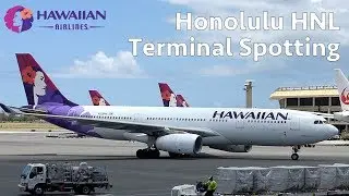 Honolulu HNL - Daniel K. Inouye Intl - B738, A332, B737, A321, B739, B764, B763, B772