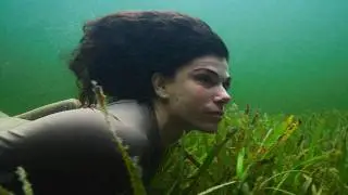Finding Harry