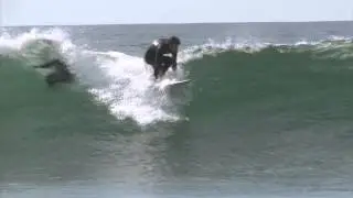 Alexandre Groeler - Guebom