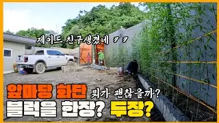 화단은 어떻게...? 이것은 염소인가 닭인가 강아지인가?? 말귀 알아듣는 염소? 산골 게스트하우스 이야기