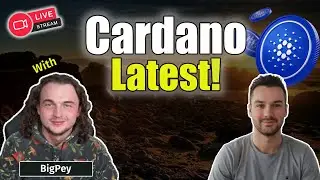 Cardano's Biggest News and Updates Live With Big Pey