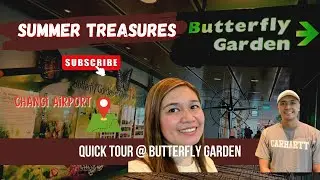 Butterfly Garden at Changi Airport Singapore | Quick Tour