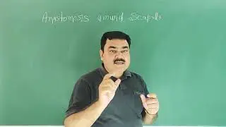 Anastomosis around scapula by DR A K SINGH
