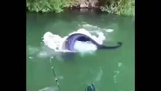 Когда рыбалка превышает удовольствие