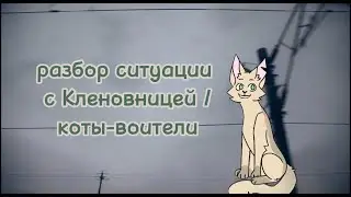 Разбор ситуации с Кленовницей / коты-воители (чит опис.)