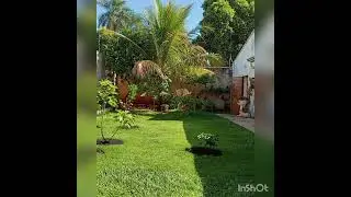 #inshot#Lugar De Paz