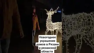 Новогодние фигуры и украшение домов к новому году в Рязани и рязанской области 8(953)744-47-32