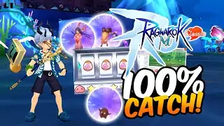 PET SYSTEM GUIDE! - Ragnarok M Classic
