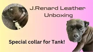 J.Renard Leather Unboxing: He MADE a collar for Tank!