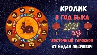 КРОЛИК (КОТ) в год БЫКА 2021. Восточный тароскоп