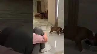 Первый час дома