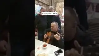 Душевная песня о голубях и птичьем рынке.