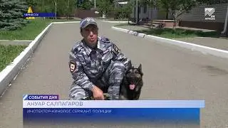 42 четвероногих полицейских служат сегодня в кинологическом центре Карачаево-Черкесии