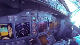 Boeing 737NG (OVB - VKO)