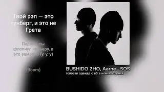 BUSHIDO ZHO, Aarne - SOS (speed up)