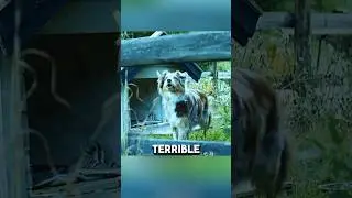Terrifying Monster Footprints Shock Everyone🤯😱