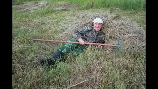 Зачем курам сено ?