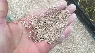 Why give sugar to animals