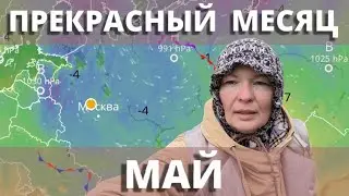 МАЙСКИЕ ЗАМОРОЗКИ В РОЗовом САДУ Обработка работает, фарватер проходим! 13 мая 2024 г.