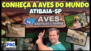 Conheça a Aves do Mundo. Atibaia - SP.
