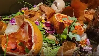 Become a ZERO waste household with Bokashi Composting