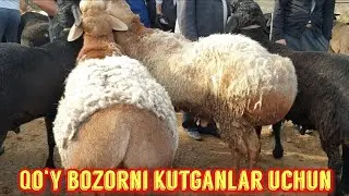 Yorqo‘rg‘on optom qo‘y bozori.11 05 2022.