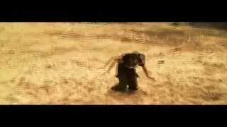 Free Fly |  Training on the sands