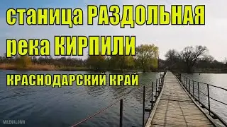 Станица Раздольная река Кирпили 20 марта 2020 утка Нырок, Кореновский район..мост, беседа с рыбаком