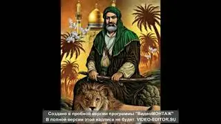Саши Заифи кина созак шохи дин