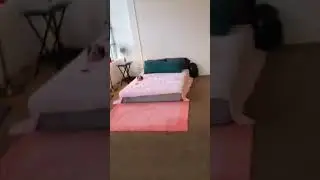 ☆LiL PEEP☆   I'm not homeless
