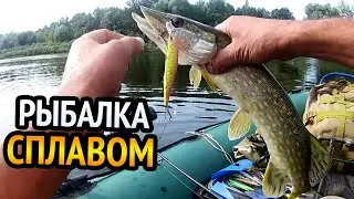 ВОБЛЕРЫ от Bear King Снова удивляют РЫБАЛКА СПЛАВОМ. АКТИВНЫЙ ТВИЧИНГ И ЩУКА СТАНОВИТСЯ АГРЕССИВНОЙ.