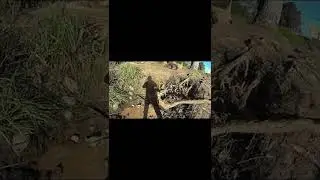 PESCA Y AVENTURA EN CAMPANA, VIAJANDO EN LANCHA #shorts 🛶