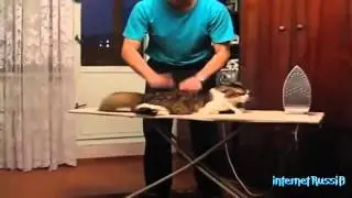 ЛУЧШИЕ ПРИКОЛЫ Август 2014 видео +18 #2