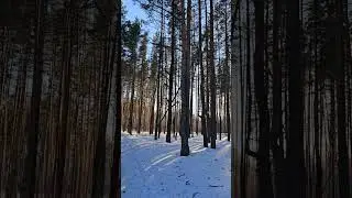 март 2024...