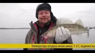 смазка СМС 9 для зимней рыбалки