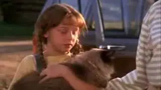 Homeward Bound?? (YTP)