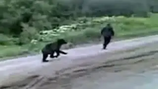 Man vs Bear ●Crazy Close Call Videos