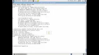 dns fedora12