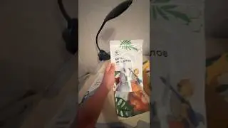 Крутые опыты #tiktok #bearwolf @valeriya_bearwolf