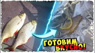 MANY people UNDERESTIMATE THIS fish / how to cook DELICIOUSLY RUDD!?!