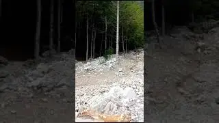 WhatsApp Video 2023 07 21 at 15 53 44