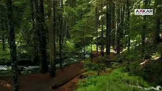 कृतज्ञता आणि माणुसकी: जीवनाचे अमूल्य धडे   |  मा. इंद्रजित देशमुख सर