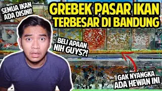 GREBEK PASAR IKAN TERBESAR DI BANDUNG! GAK NYANGKA ADA HEWAN INI!