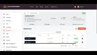 How to delete a Daemons through Cloudpanzer?