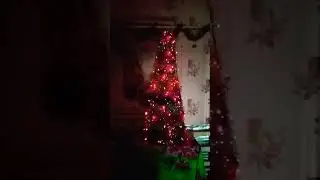 Щідрувала🤪🤪🤪!!!