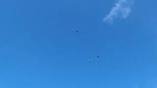 Посадка голубей  12 06 20